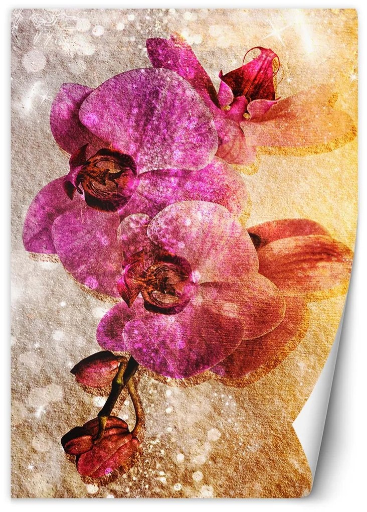 Gario Fotótapéta Lila orchideák Anyag: Vlies, Méret: 150 x 210 cm