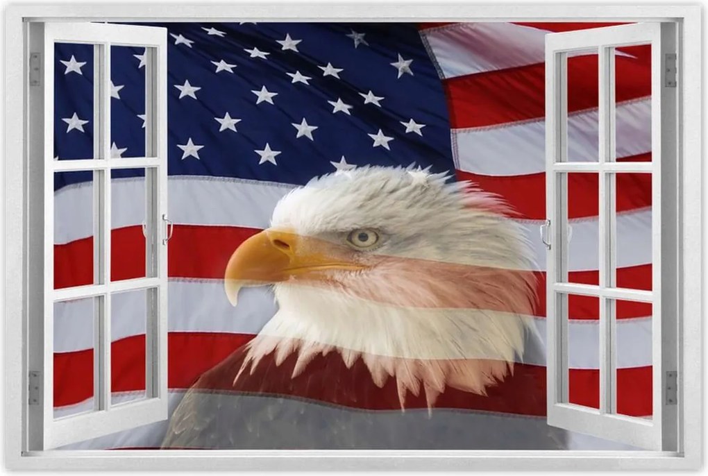 Poszterek 90x60 Freedom from Usa