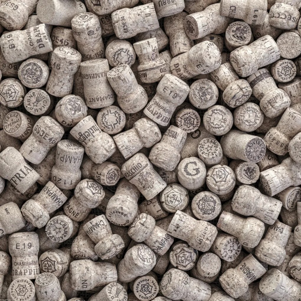 Poszter 50x50cm Pezsgős dugók, Assaf Frank