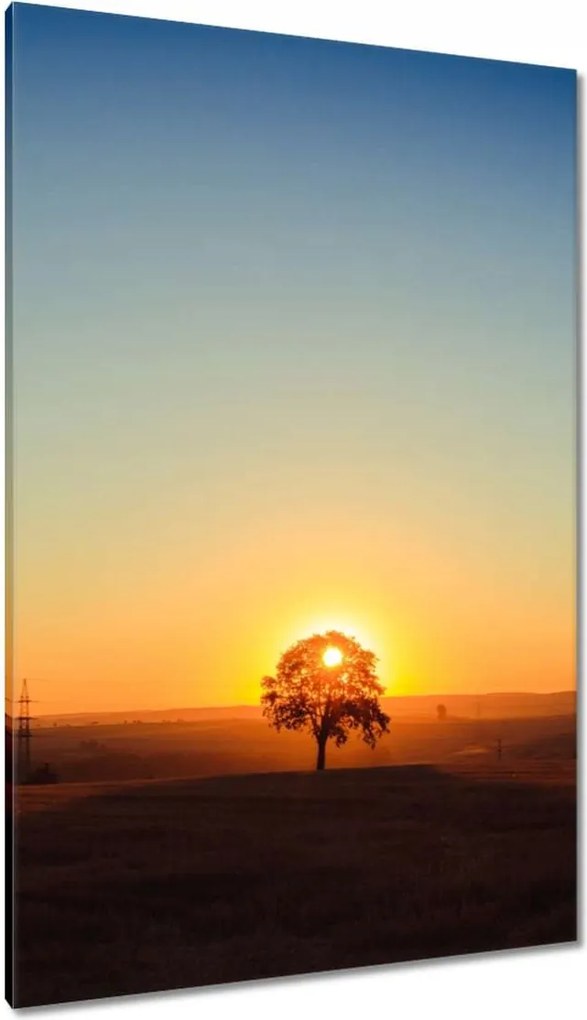 Festmények 80x120 Kilátás Tájkép