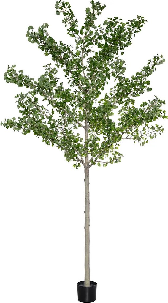 Pottery Pots Realisztikus mesterséges ginkgo biloba fa, többféle méretben - PotteryPots méret: XXL - ø 55 cm | m. 360 cm