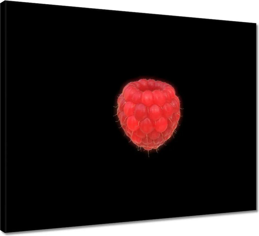 Vászonkép 50x40 Málna