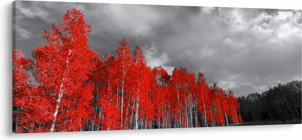 Kép - fák őszi színben (120x50 cm)
