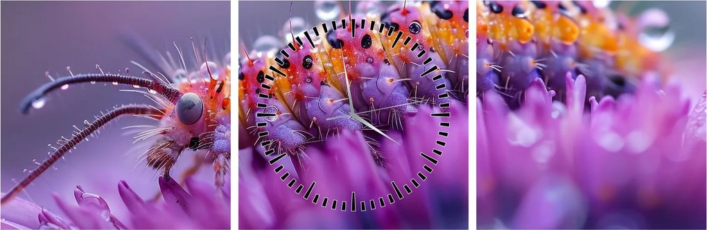 Kép - Caterpillar (órával) (90x30 cm)