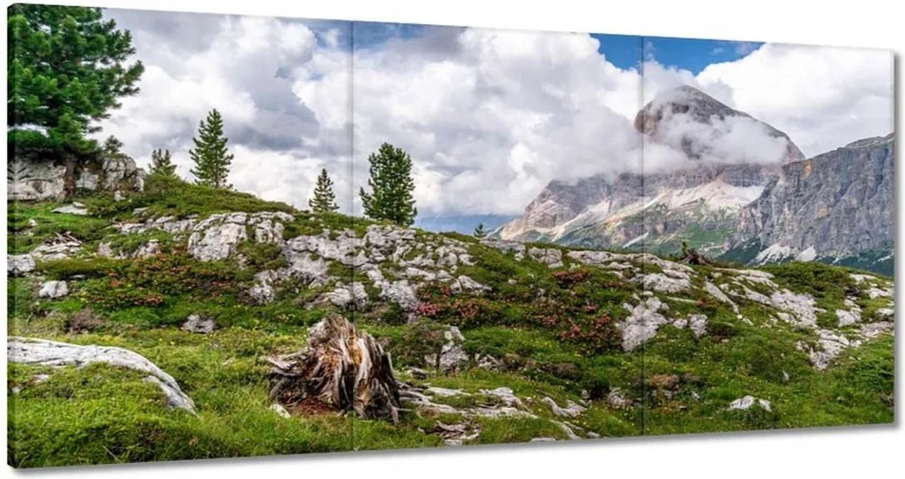 Festmények 180x90 Hegyi kilátás Tájkép