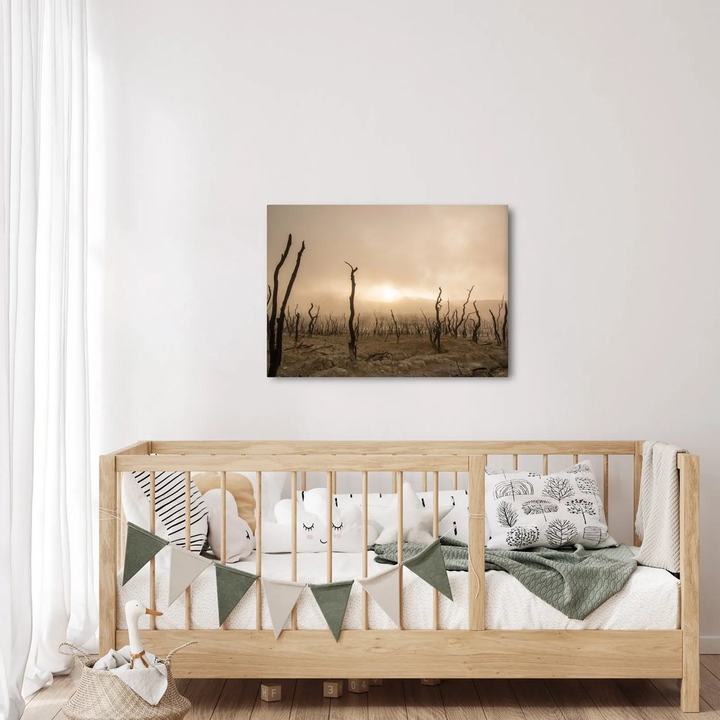 Kép - Csupasz fák (70x50 cm)