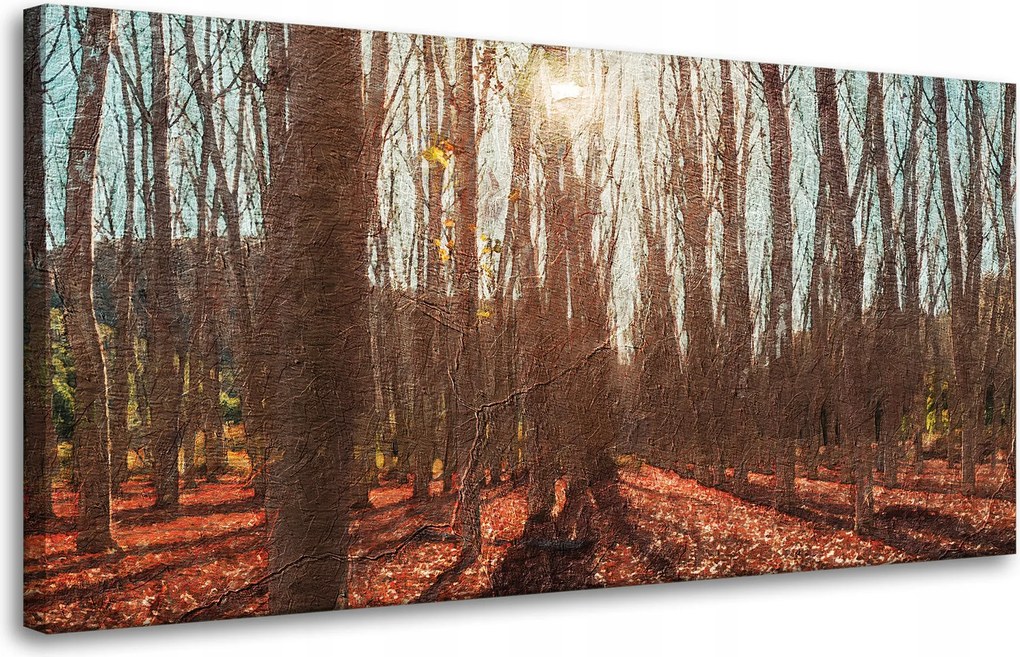 Vászonkép Erdő Ősz Levelek Színes Természet 80x40 cm