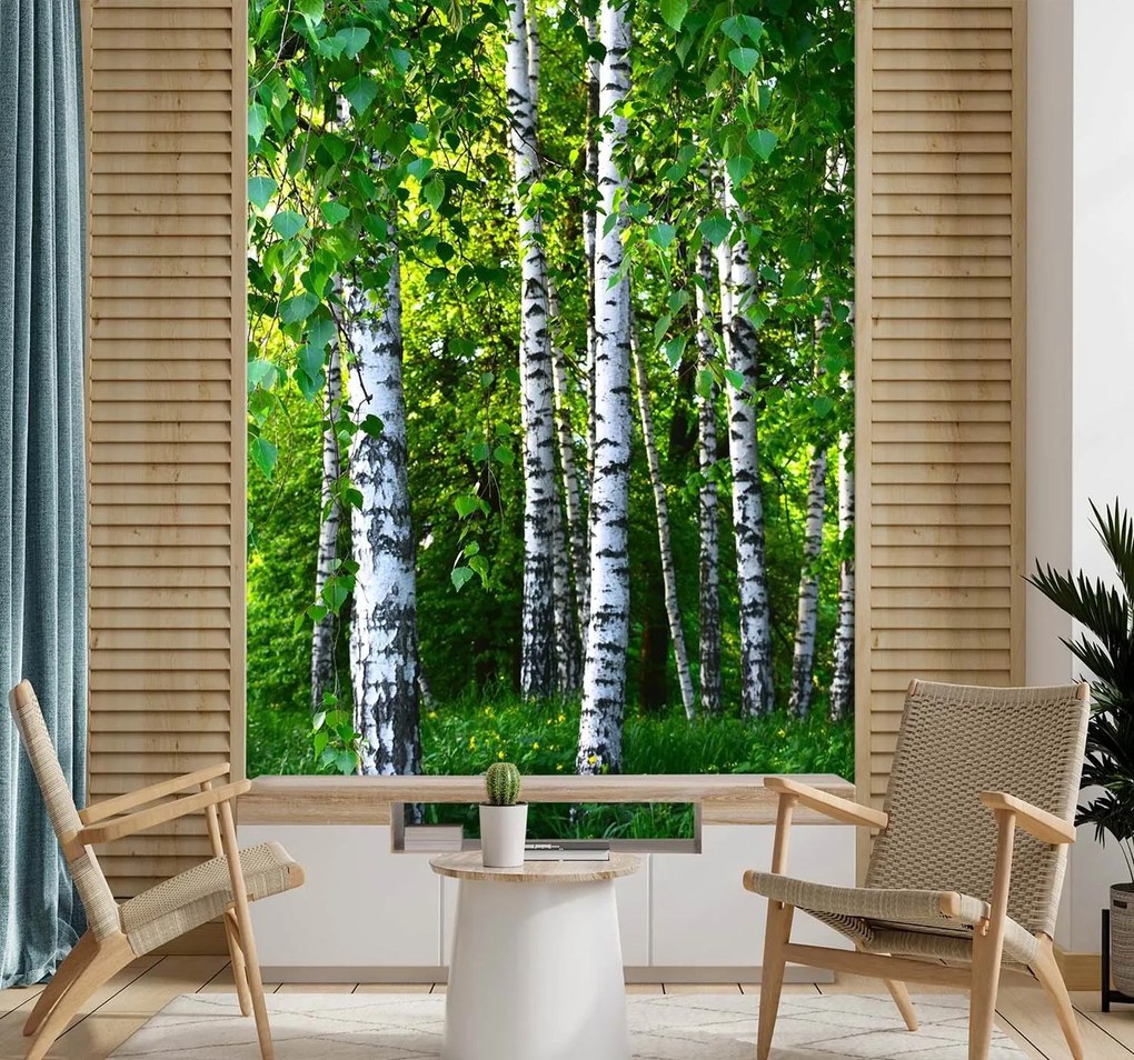 Gario Fotótapéta Nyírfa liget Anyag: Vlies, Méret: 150 x 210 cm
