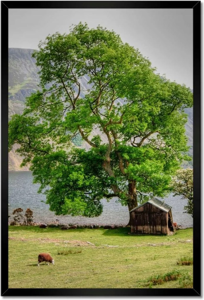 Poszterek keretben 40x60 Erős fa