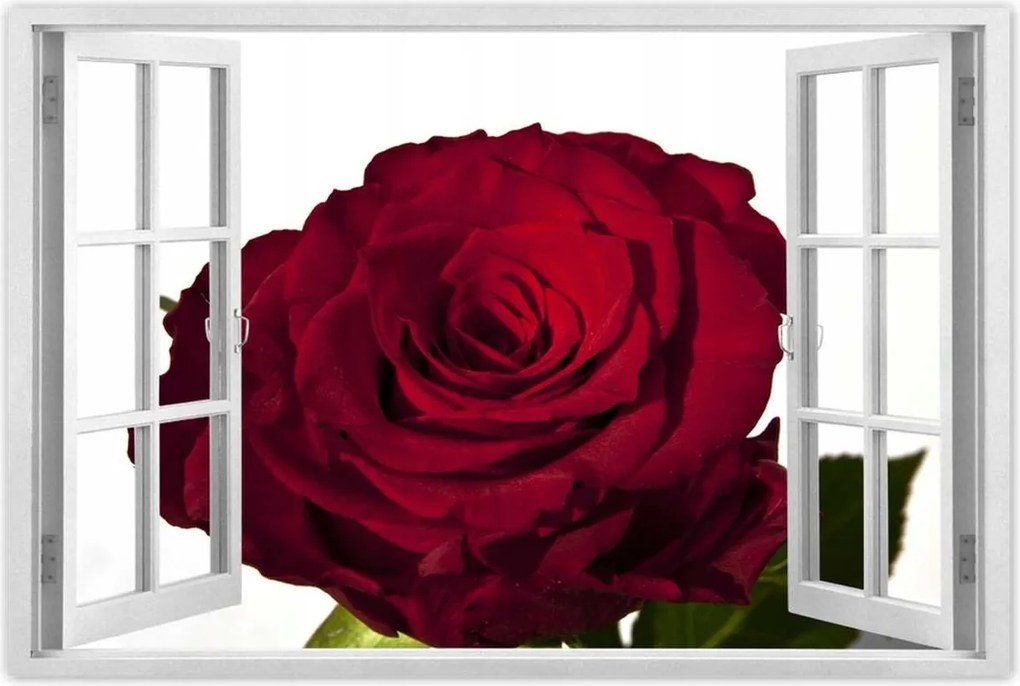 Poszterek 120x80 Vörös rózsa fehér között