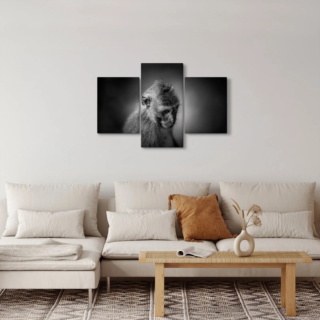 Kép - Majom (90x60 cm)