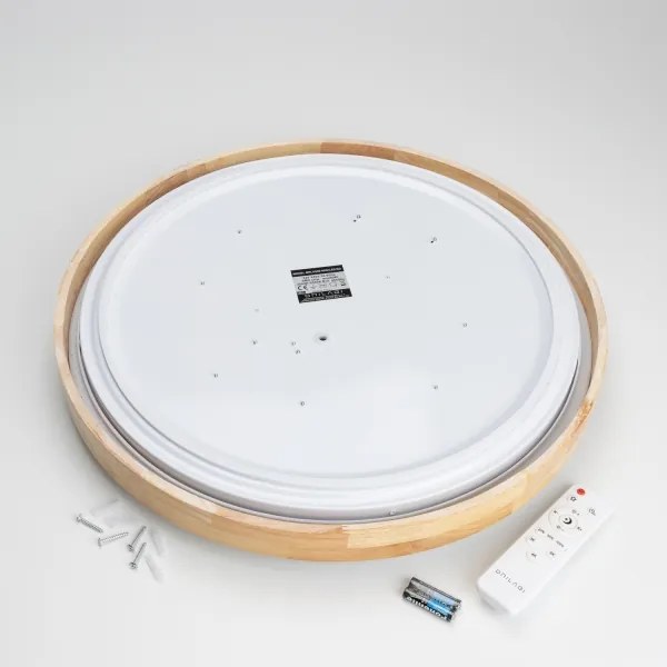 Brilagi - LED fényerőszabályozható mennyezeti lámpa PINE LED/60W/230V + távirányítóval