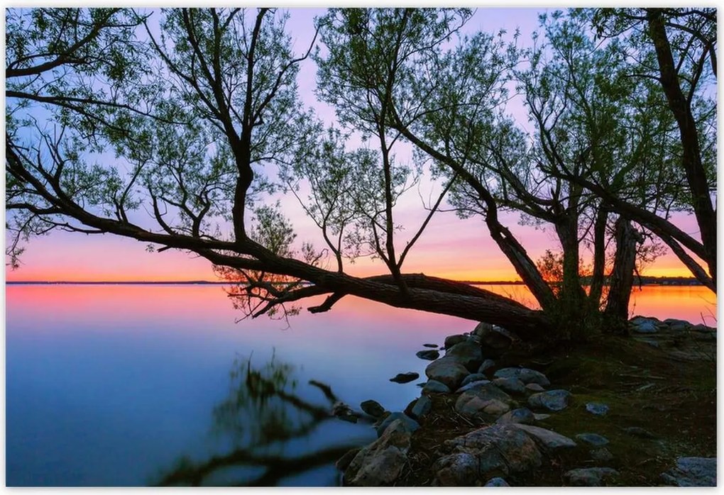 Poszterek 200x135 Sziklák Fa Tó