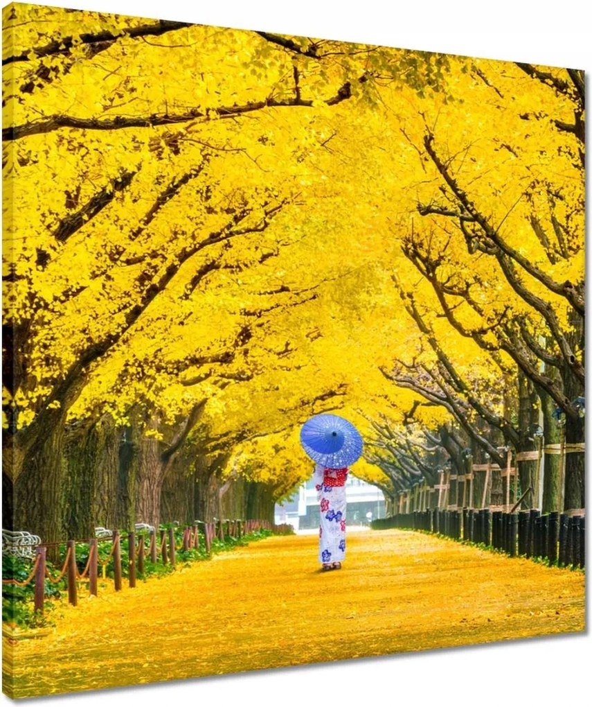 Vászonkép 50x50 Japán kimonó Ősz