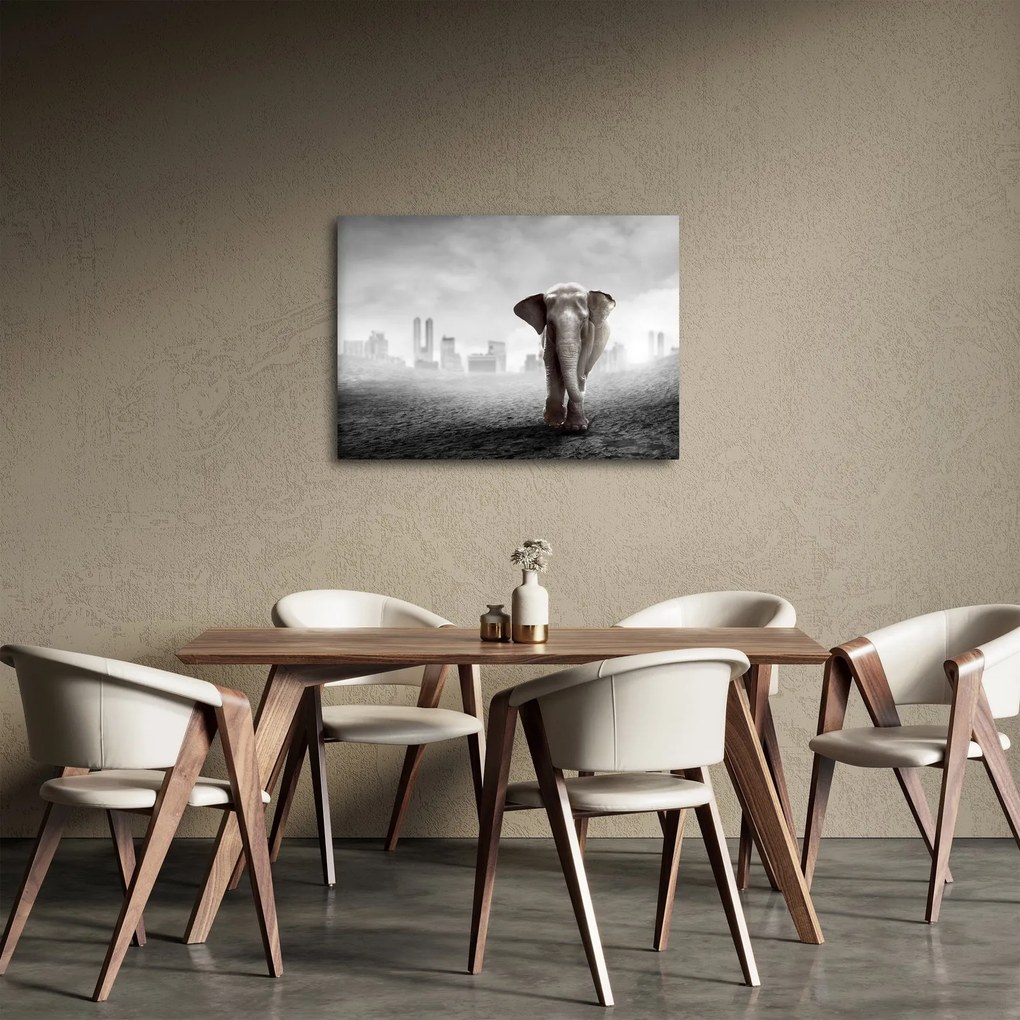 Kép -Elefánt egy nagyvárosban, fekete-fehér változat (70x50 cm)