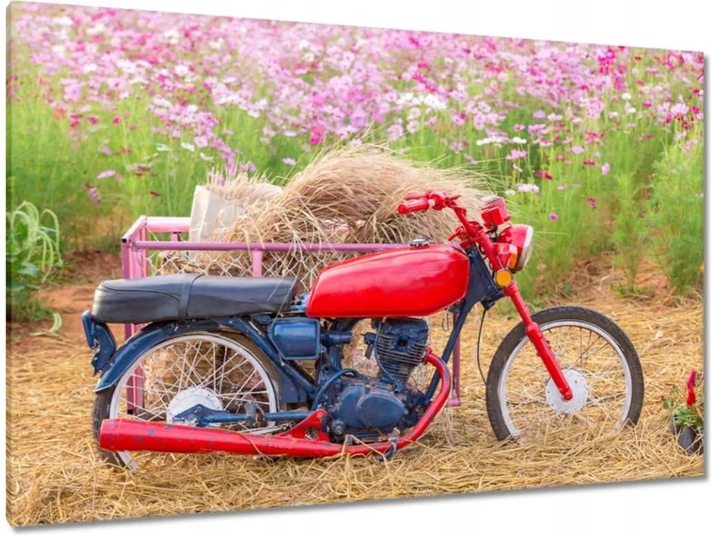 Vászonkép 120x80 Piros motorkerékpár Virágok