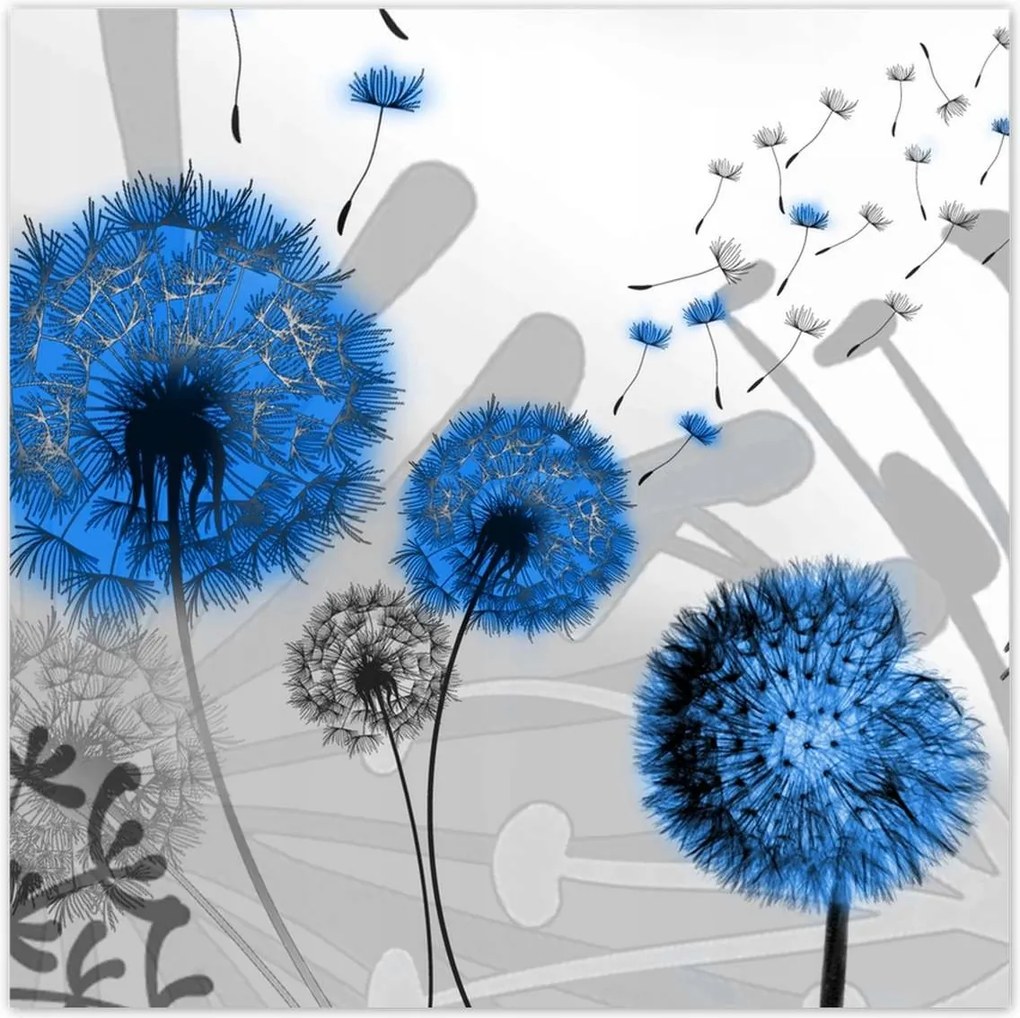 Poszterek 100x100 Kék pitypangok