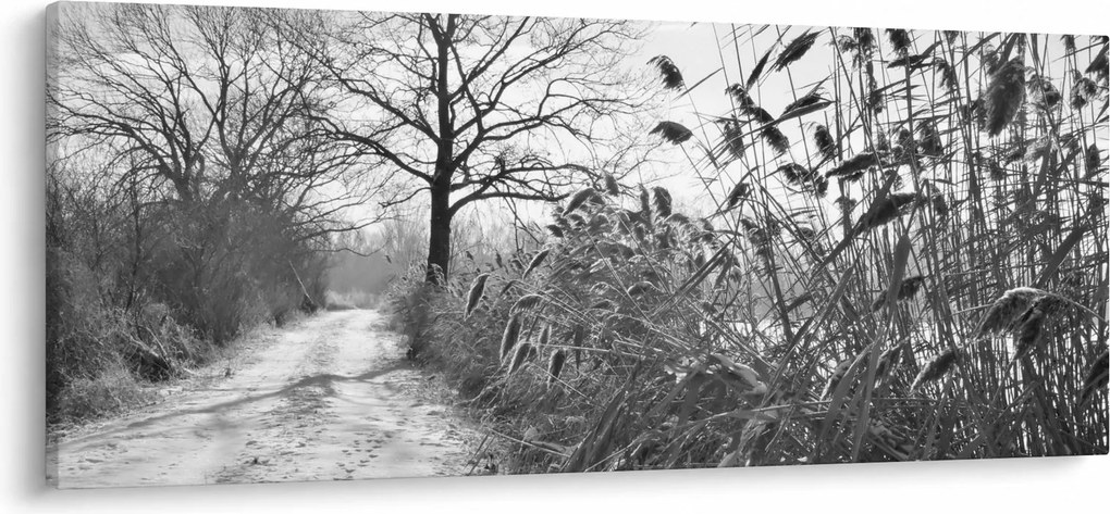 Kép - Mezők télen (120x50 cm)