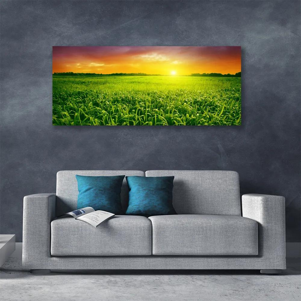 Vászonkép falra Wheat Field Sunrise 125x50 cm