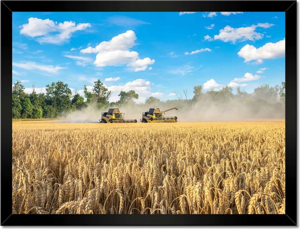 Poszterek keretben 40x30 Két fűnyíró kombájn
