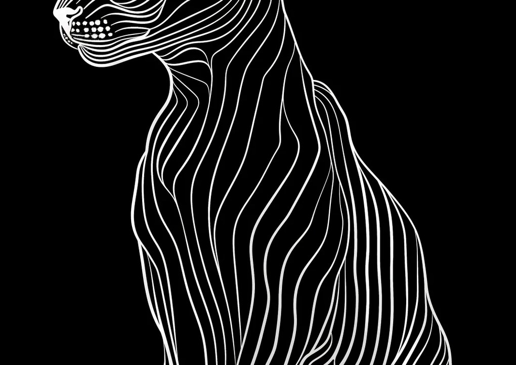 Poszter 42x29,7cm Minimális kontúr