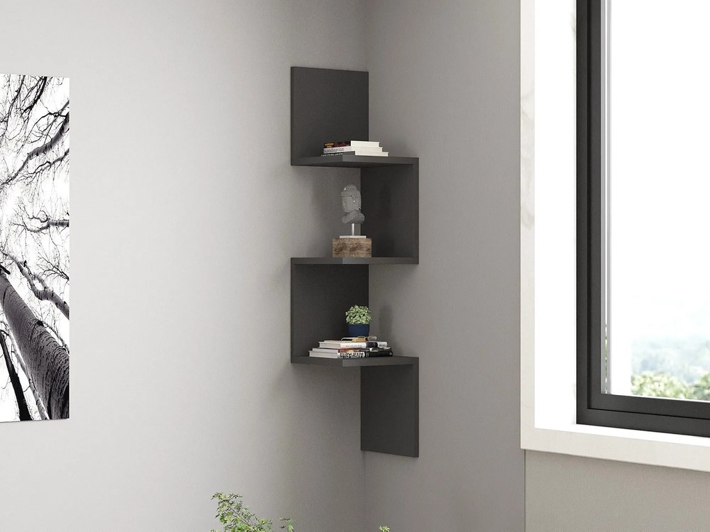 Polc Topike (antracit) . 1095803
