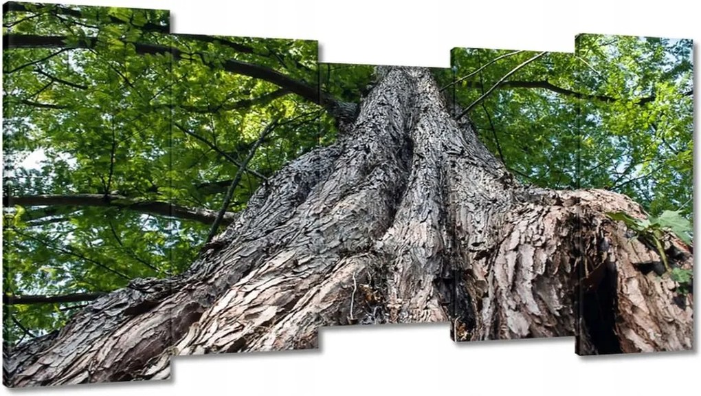 Festmények 150x80 Fa Fák Kilátás