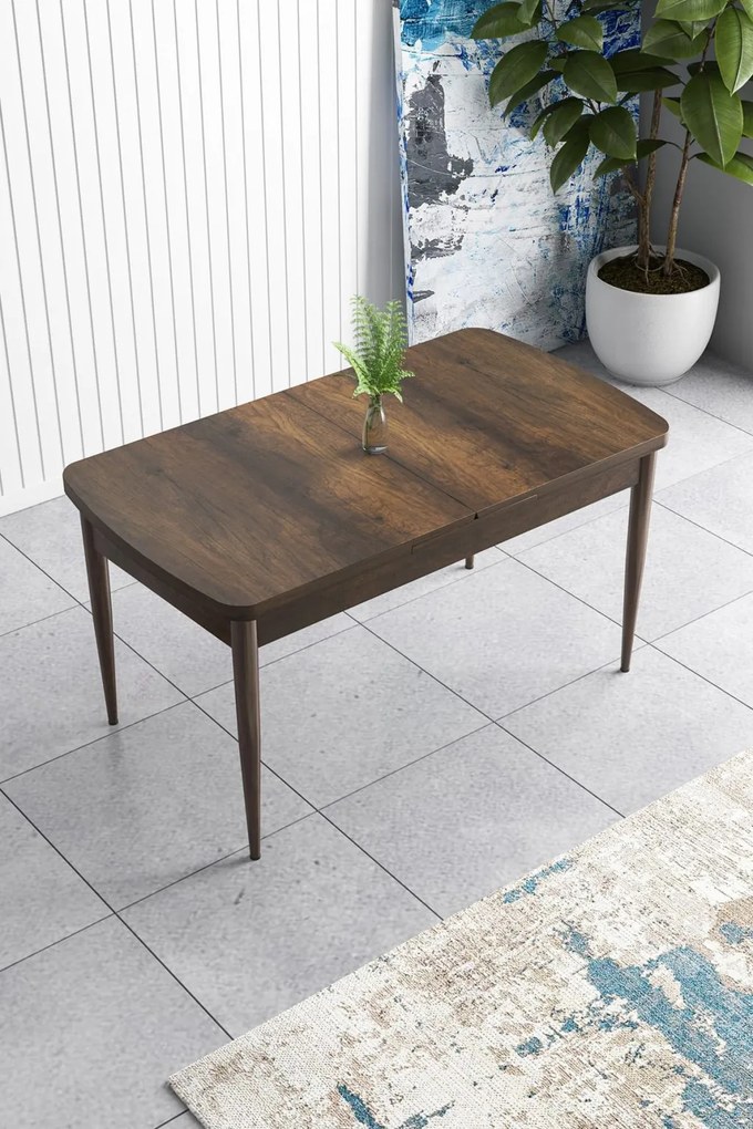 Han - Baroque, Brown