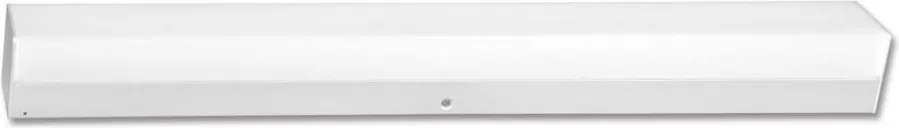 Ecolite TL4130-LED30W/BI - LED Pultmegvilágító ALBA LED/30W/230V IP44