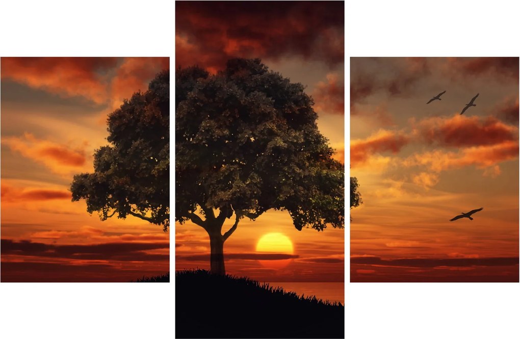 Fa képe naplementével (90x60 cm)