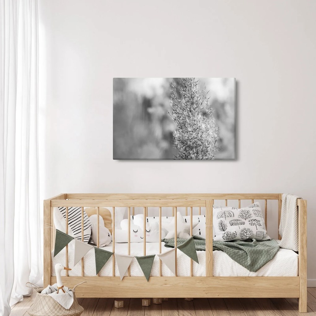 Kép - Boho pampafű (90x60 cm)