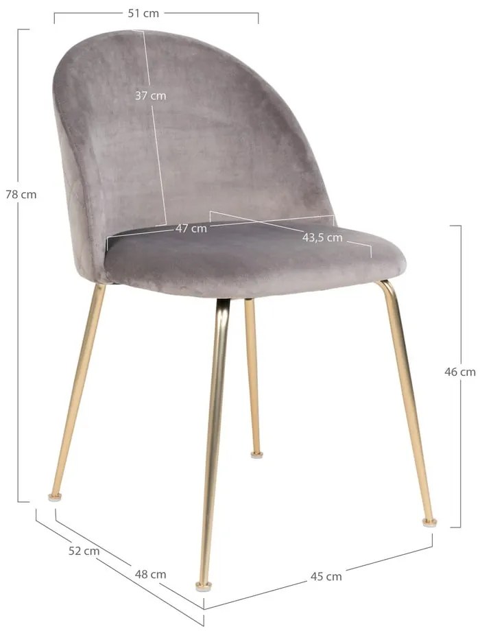 Világosszürke bársony étkezőszék szett 2 db-os Geneve – House Nordic