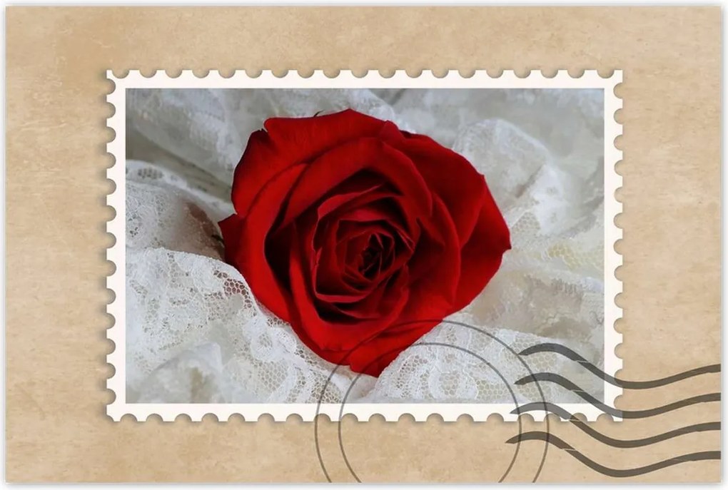 Poszterek 90x60 Kedves ajándék a kedvesedtől