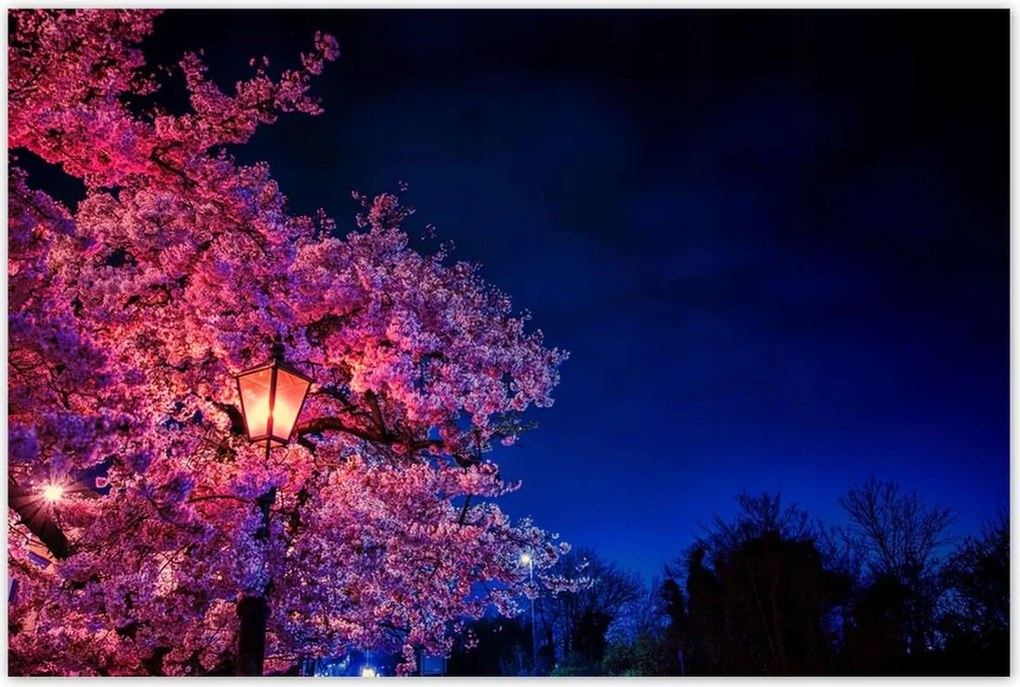 Poszterek 120x80 Hálószoba motívum Lámpa