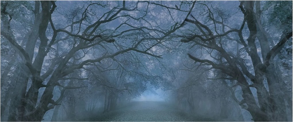 Egy erdő képe a ködben (120x50 cm)