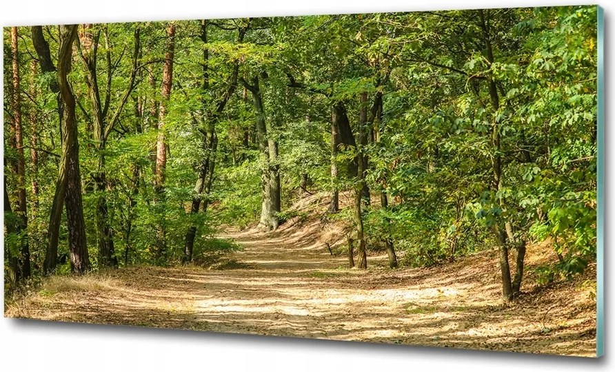 Fotótapéta üvegfalra Ősz a hegyekben 100x70