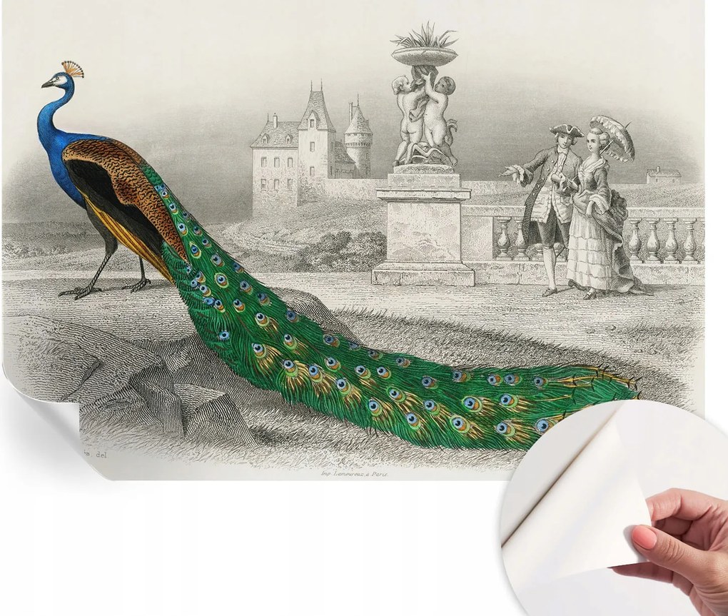 Fotótapéta Fali tapéta Hálószobába és Nappaliba Színes tollak 152x104 cm