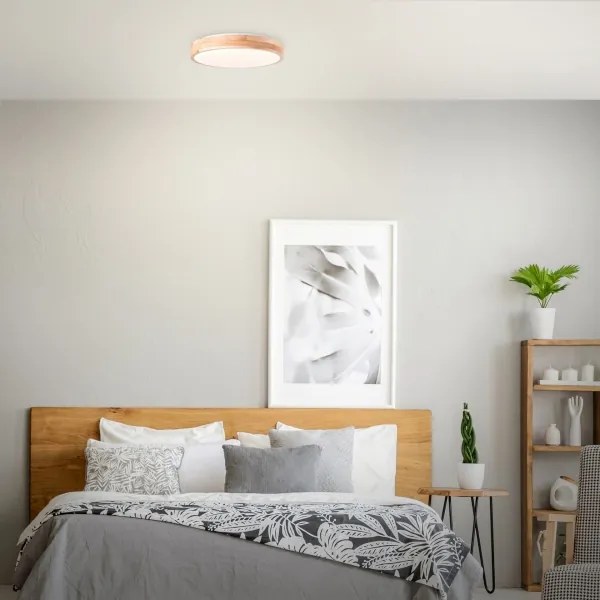 Brilliant - LED mennyezeti lámpa SLIMLINE LED/24W/230V Ø 34,5 cm gumifa