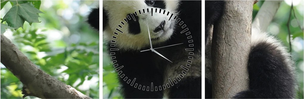 Kép - Panda a fán (órával) (90x30 cm)