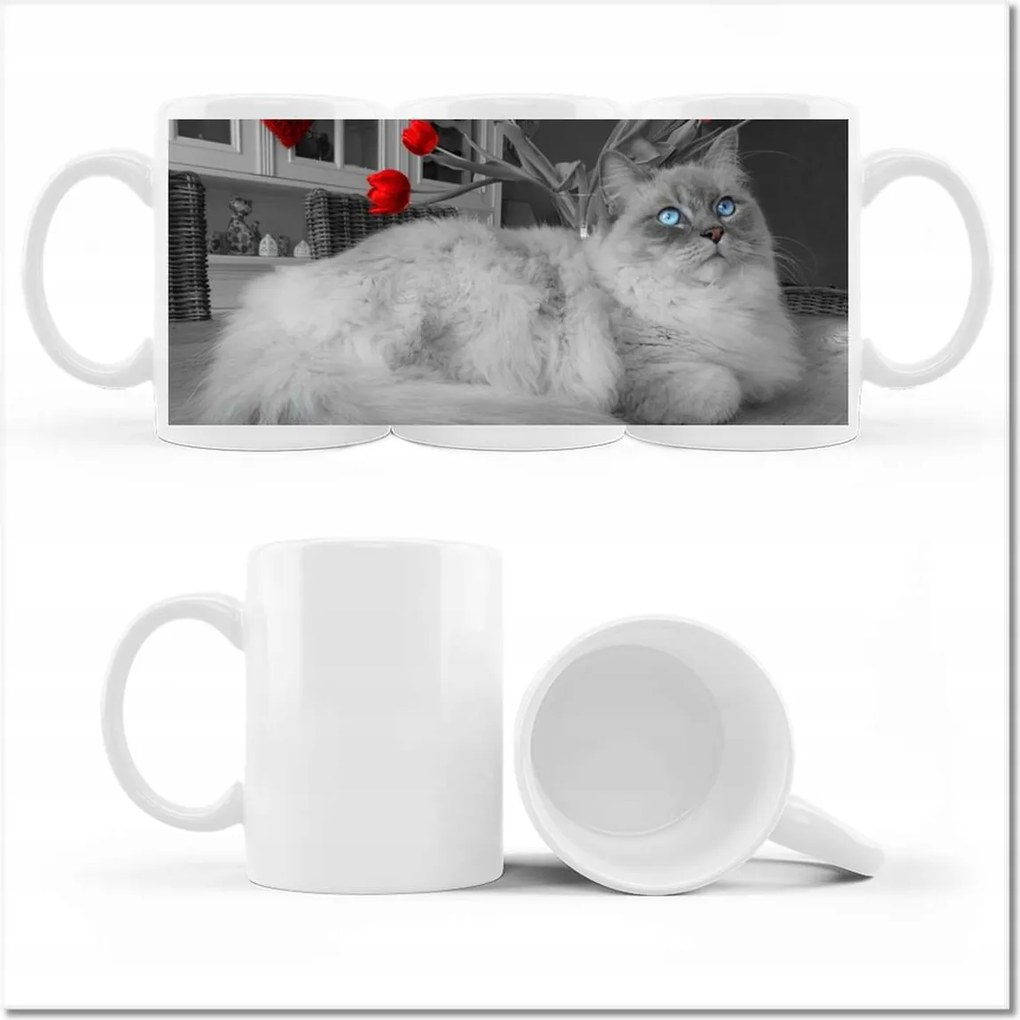 Fotó bögre Ragdoll macska