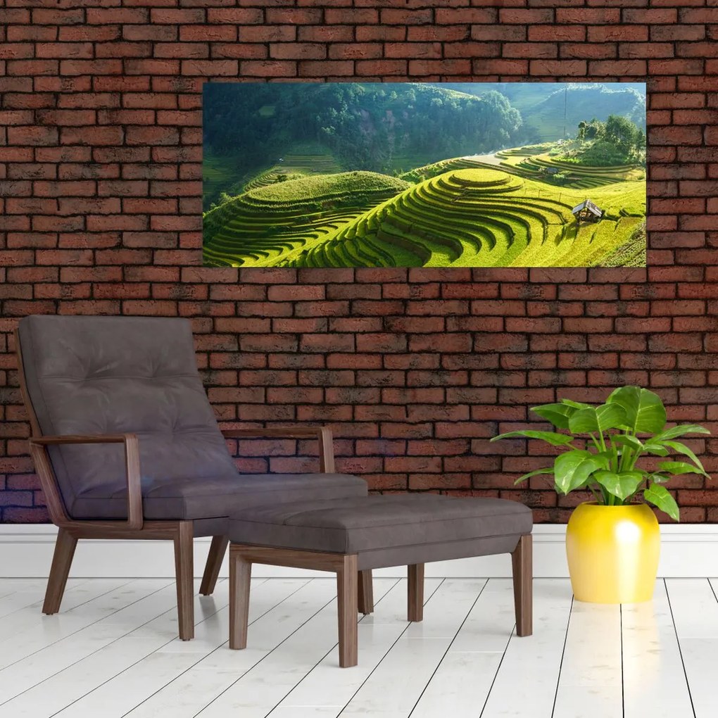 Kép - Rice Terraces koncert (120x50 cm)