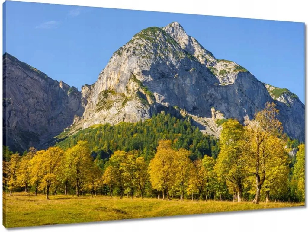 Vászonkép 90x60 Hegyi táj tiszta égbolttal Fák a hegyekben