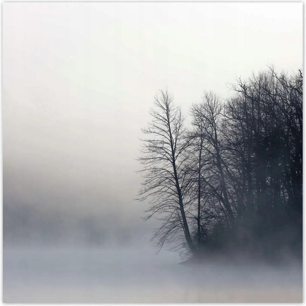 Poszterek 30x30 Ködös erdő Tél