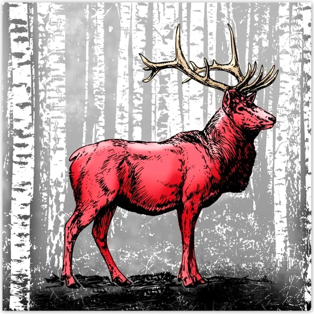 Poszterek 100x100 Szarvas Nyírfa Erdő