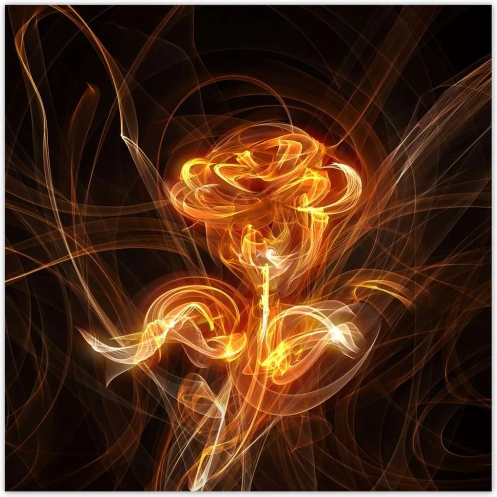 Poszterek 100x100 Lángoló fraktál rózsa