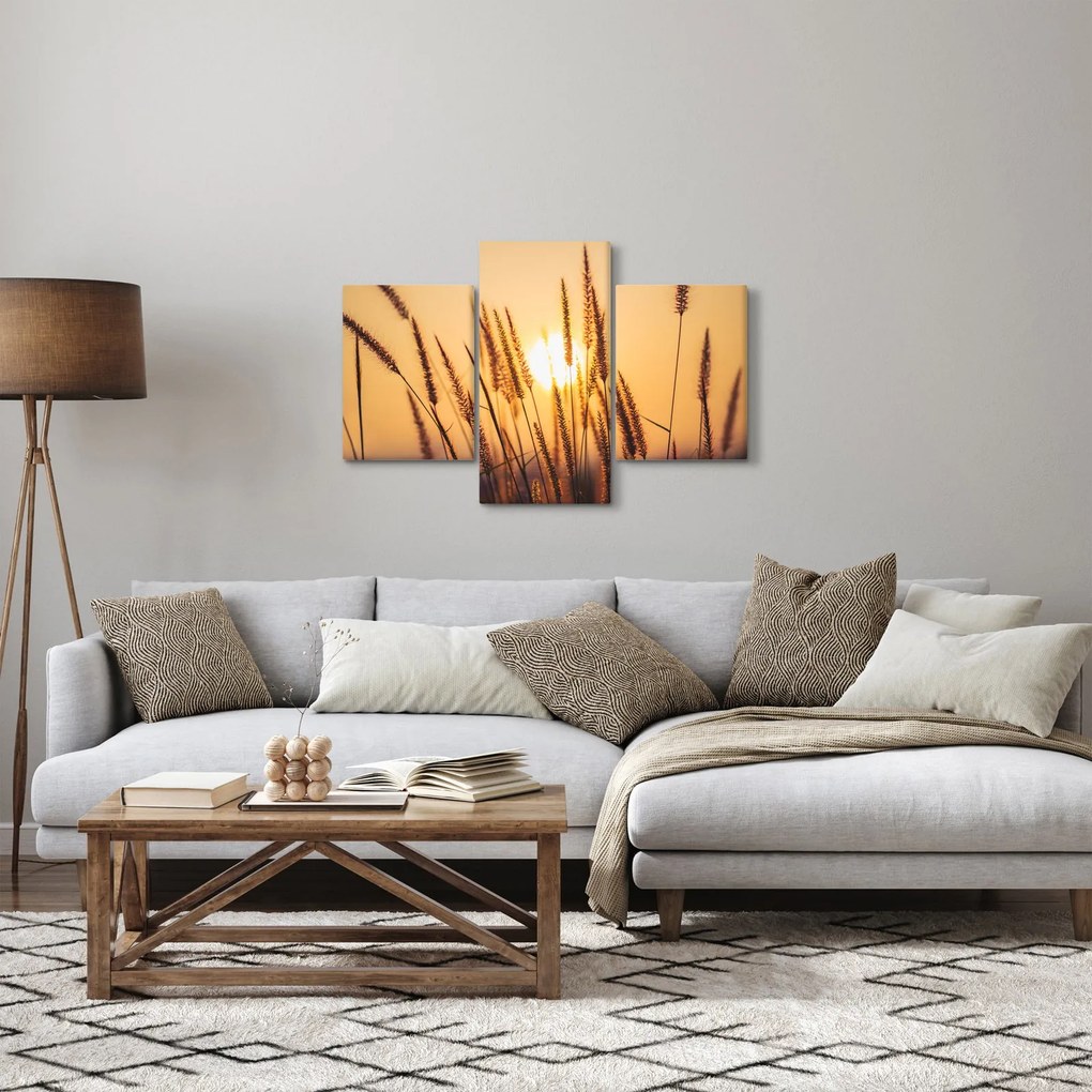 Kép - Füvek a napon (90x60 cm)