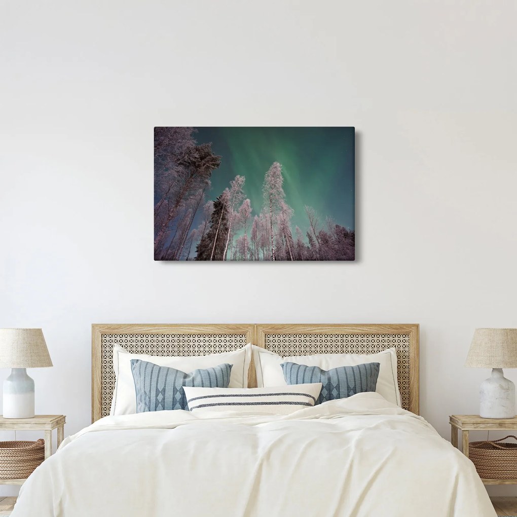 Az aurora borealis képe fagyos fák felett (90x60 cm)
