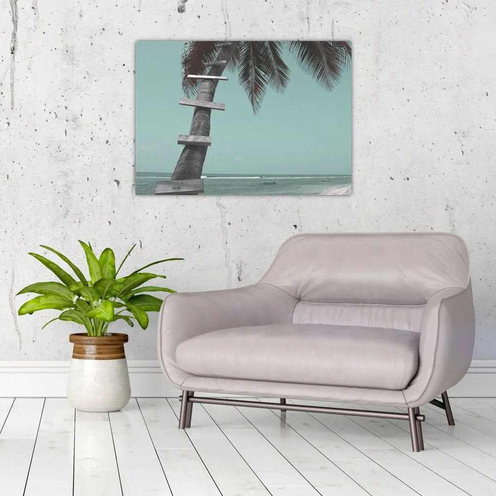 Üveg kép - Palma a Karib-tengeren (70x50 cm)