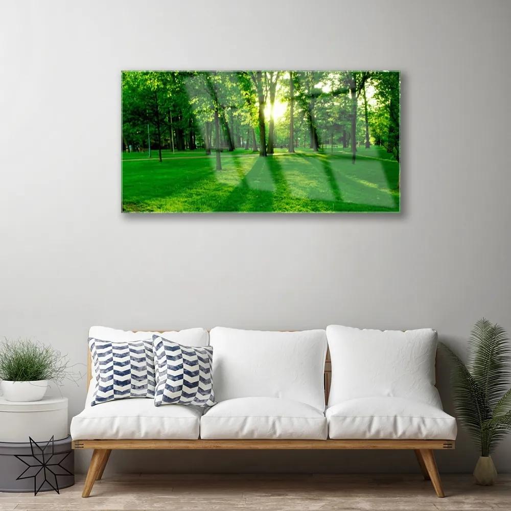 Akrilüveg fotó Forest Park Természet 120x60 cm