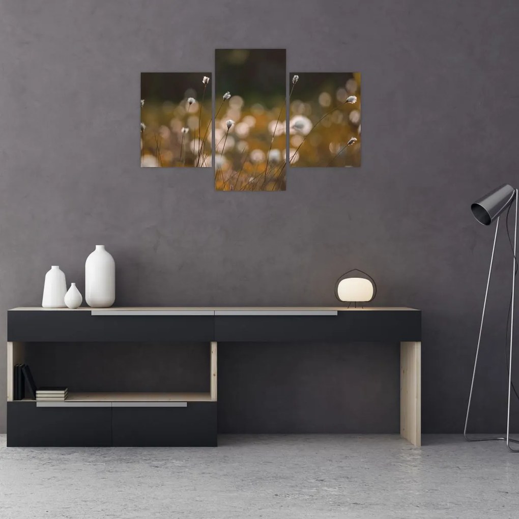 Kép - Gyapotfűvel borított rét N⁰2 (90x60 cm)